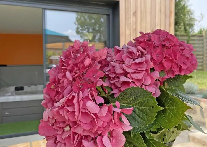 Maison Ancienne - 8 Pers. - Fr-1-497-185