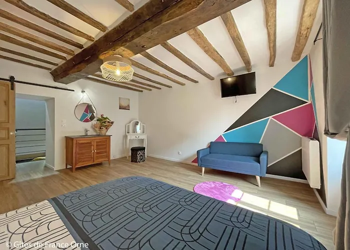 Maison En Pierre Avec Et Animaux Acceptes - Fr-1-497-185 Vakantiehuis Réveillon