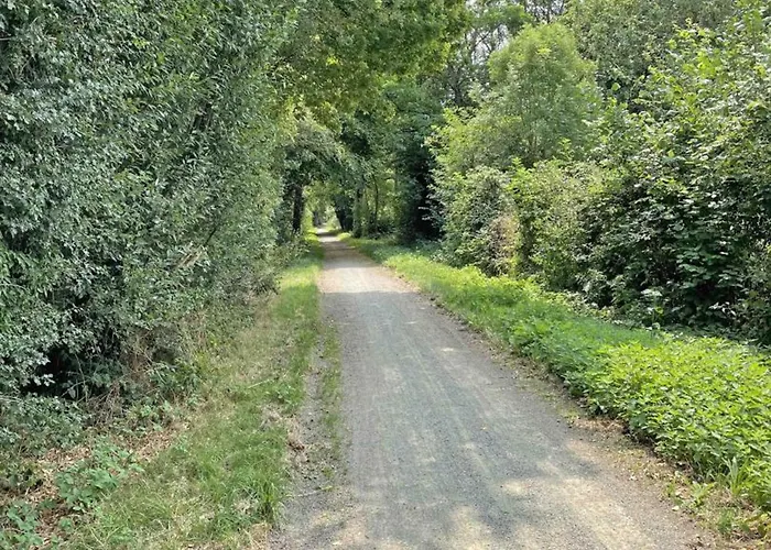 Vakantiehuis Maison En Pierre Avec Et Animaux Acceptes - Fr-1-497-185 *